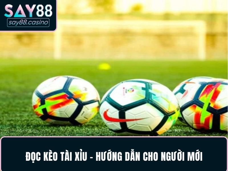Cách Đọc Kèo Bóng Đá - Hướng Dẫn Chuẩn Nhất Từ Chuyên Gia Đọc kèo tài xỉu - Hướng dẫn cho người mới