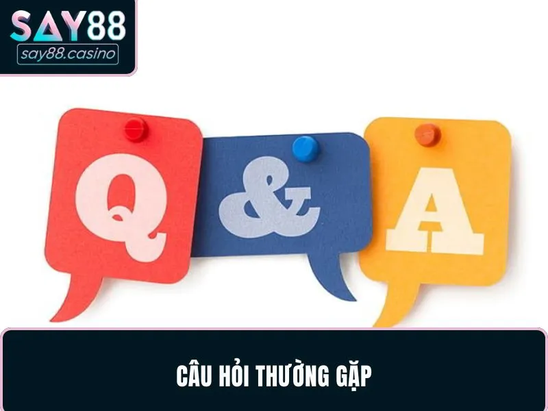 Câu hỏi có thể gặp khi hội viên đăng nhập SAY88