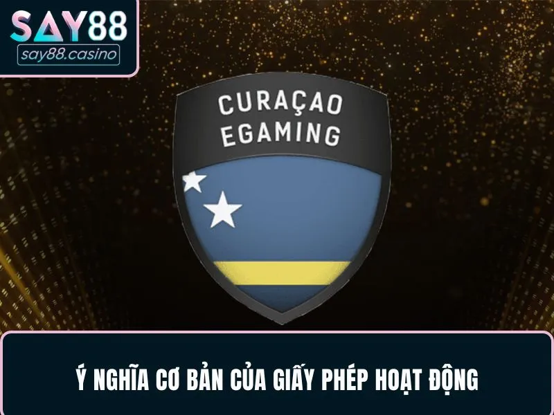 Ý nghĩa cơ bản của giấy phép hoạt động