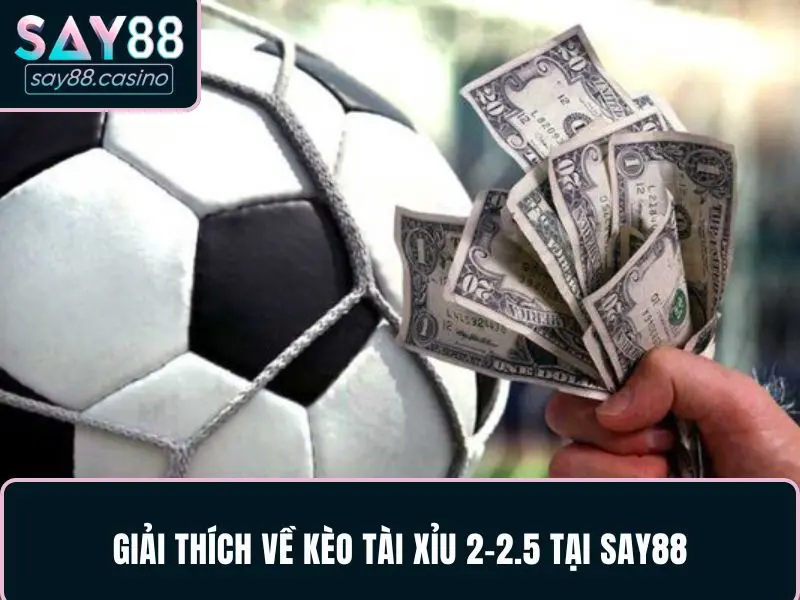 Kèo Tài Xỉu 2-2.5 Là Gì Cùng Bí Kíp Bắt Kèo Tại SAY88 Giải thích chi tiết kèo Tài xỉu 2-2.5 là gì cho người chơi tại SAY88