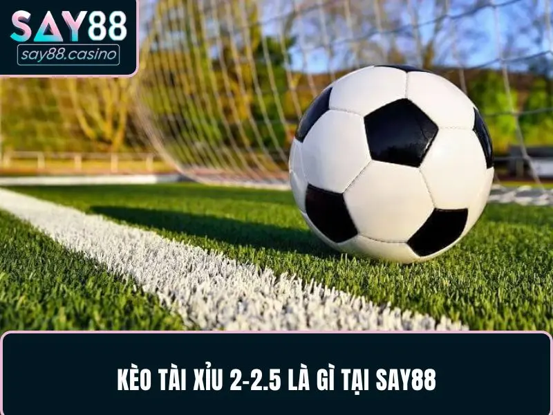 Kèo Tài Xỉu 2-2.5 Là Gì Cùng Bí Kíp Bắt Kèo Tại SAY88 Kèo Tài xỉu 2-2.5 là gì