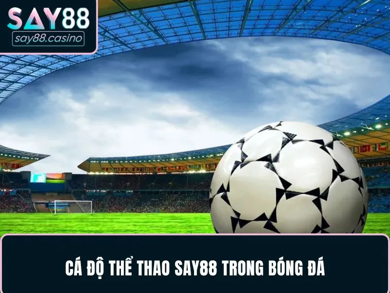 Cá độ thể thao SAY88 trong bóng đá